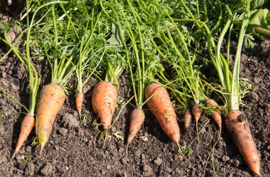 Another nine awards made